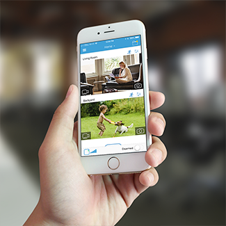 blink_indoor-btf_pack4-app._CB474022803_ blink-app